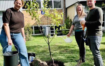 🌱🍑 Challenge angenommen – und geschafft! 🍑🌱